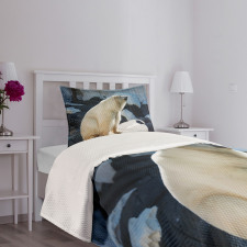 Polar Bear in Park Rocks Bedspread Set