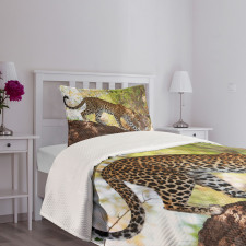 Leopard Tree Nature Reserve Bedspread Set