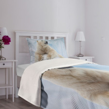 White Polar Bear on Ice Bedspread Set