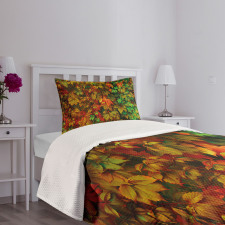 Colorful Leafage Vivid Bedspread Set