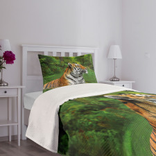 Siberian Wild Cat in Lake Bedspread Set