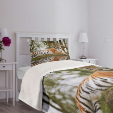 Siberian Mammal Warm Day Bedspread Set