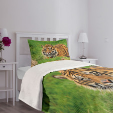 Sumatran Feline Ambush Bedspread Set