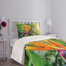 Bird of Paradise Flower Bedspread Set