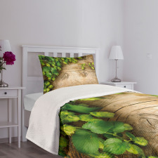 Hop Twigs on Wood Bedspread Set