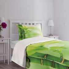 Bamboo out of Water Bedspread Set