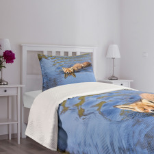 Fox Swimming in River Bedspread Set