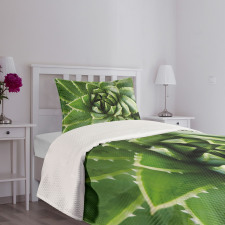 Green Leaf Exotic Mexico Bedspread Set