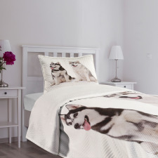 Furry Doggies Bedspread Set