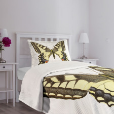 Old Papilio Bedspread Set
