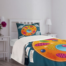 Science at School Bedspread Set