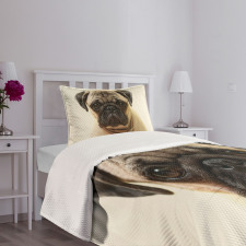 Pure Bred Dog Photograph Bedspread Set