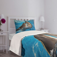 Aqua Show Photography Bedspread Set