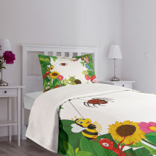 Little Bugs Butterflies Bedspread Set
