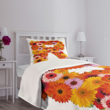 Gerbera Daisies Style Bedspread Set