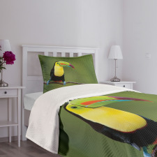 Keel Billed Toucan Bedspread Set
