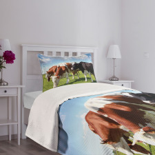 Cows Grazing on Pasture Bedspread Set