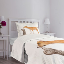 Kitten and a Stafford Puppy Bedspread Set