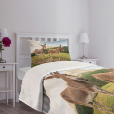 Dolomites Italy Countryside Bedspread Set