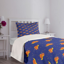 Birds in Starry Night Sky Bedspread Set