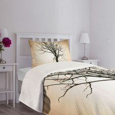 Barren Tree on Ombre Bedspread Set