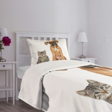 Cat Dog Animal Friends Bedspread Set