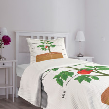 Parts of a Tomato Plant Bedspread Set