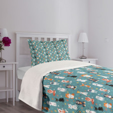 Cats and Dogs Species Bedspread Set