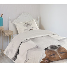 Dog Upside down Relax Bedspread Set