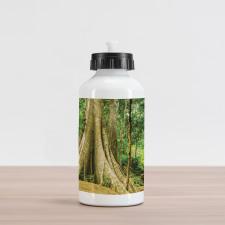 Big Tree Trunk in the Forest Aluminum Water Bottle