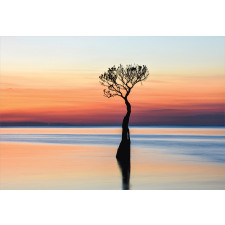 Mangrove Tree on Sunset Aluminum Water Bottle