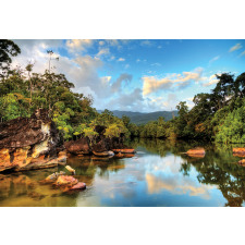 View of Jungle River Aluminum Water Bottle