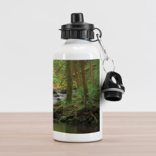 Forest over Mossy Rocks Aluminum Water Bottle