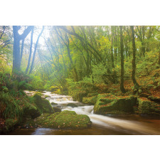 Forest at Golitha Falls Aluminum Water Bottle