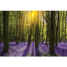 Bluebell Blossoms Aluminum Water Bottle