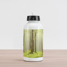 Misty Beech Forest Photo Aluminum Water Bottle