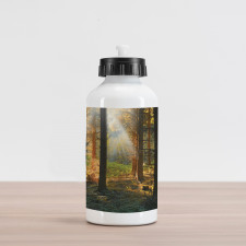 Sunset Dark Pine Trees Aluminum Water Bottle