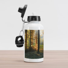 Sunset Dark Pine Trees Aluminum Water Bottle