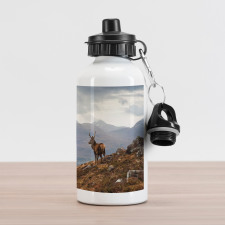 Western Ross Mountain View Aluminum Water Bottle