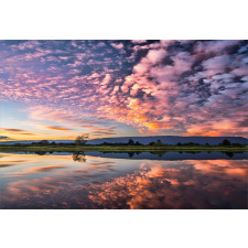 Reflections on Water View Aluminum Water Bottle