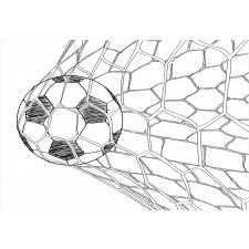 Soccer Ball in Net Aluminum Water Bottle