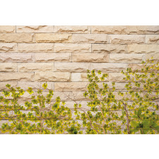 Brick Wall with Leaf Aluminum Water Bottle