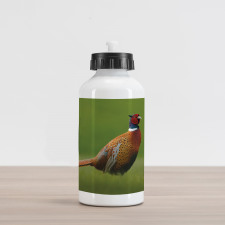 Pheasant Long Tail Meadow Aluminum Water Bottle