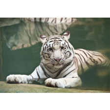 White Tiger Swimming Fun Aluminum Water Bottle