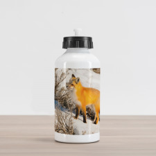 Red Fox in Snowy Nature Aluminum Water Bottle