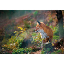 Young Wild Fox in Woodland Aluminum Water Bottle