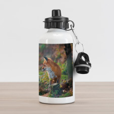 Young Wild Fox in Woodland Aluminum Water Bottle