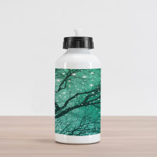 Stars Bare Branches Aluminum Water Bottle