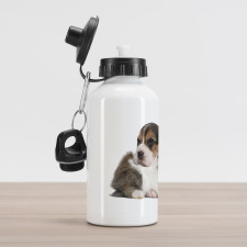 Rabbit Puppy Pet Friends Aluminum Water Bottle