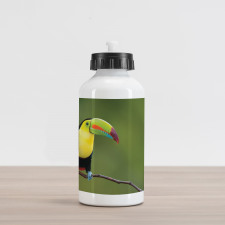 Keel Billed Toucan Aluminum Water Bottle